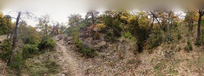  Cami de Sant Marti A Claverol Barranc Font Artic