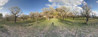 19: 05-03-2019_sant_marti_de_canals_pla_de_la_torre