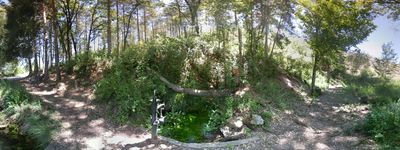 36: 31-05-2019_font_de_pujol_alt_pirineu_i_aran_conca_de_dalt