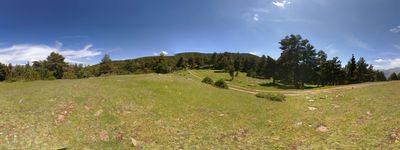 8: 22-06-2019_pla_de_l_orri_de_tornafort