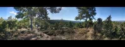 17: 28-09-2020_castellar_de_la_ribera_catalunya_central