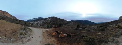 1: 02-26-2020_llau_de_les_salades