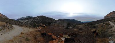 2: 02-26-2020__llau_de_les_salades