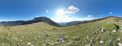 11: 29-06-2021_prat_montaner_alt_pirineu_i_aran_boumort