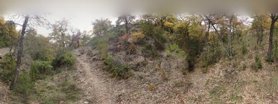 11: 13-11-2021_cami_de_sant_marti_a_claverol_barranc_font_artic