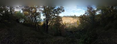 21: 13-11-2021_cami_de_sant_marti_a_claverol_baixada_al_barranc_de_sant_marti