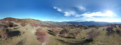 48: 02-01-2022_rebollar_de_montsor