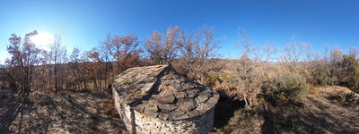 157: 24-01-2022_torallola_santa_cecilia_alt_pirineu_i_aran_conca_de_dalt