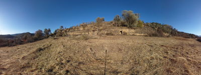 182: 10-02-2022_cabana_a_pont_de_claverol_alt_pirineu_i_aran_conca_de_dalt