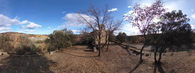 183: 15-02-2022_santa_barbara_de_sensui_alt_pirineu_i_aran_conca_de_dalt