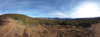 169: 16-02-2022__torallola_los_amanits