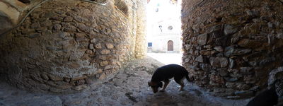 11: 17-02-2022_bretui_alt_pirineu_i_aran_pla_de_corts