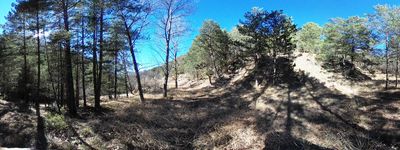 31: 18-02-2022_molina_de_carreu_alt_pirineu_i_aran_boumort