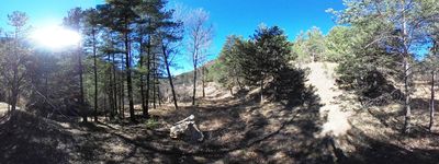 32: 18-02-2022_molina_de_carreu