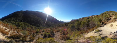 33: 18-02-2022_bosc_de_carreu