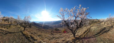 57: 20-02-2022_plana_mateu_claverol