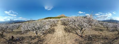 76: 28-02-2022_sant_marti_de_canals_seixos_florits