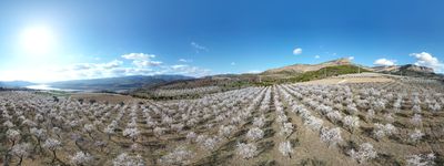 77: 28-02-2022_sant_marti_de_canals_seixos_florits