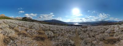 78: 28-02-2022_sant_marti_de_canals_seixos_florits