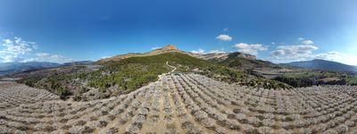 79: 28-02-2022_sant_marti_de_canals_seixos_florits