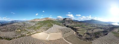 81: 28-02-2022_sant_marti_de_canals_seixos_florits