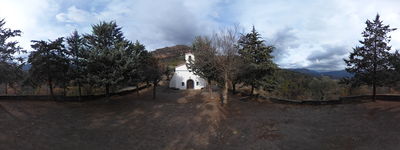 195: 21-03-2022_pui_de_segur