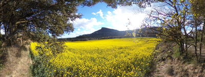 48: 24-04-2022_puig_de_balenya_catalunya_central