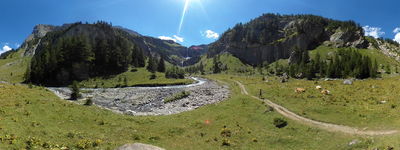 22: 01-08-2022_lauenen