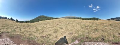 124: 28-08-2022_prat_montaner