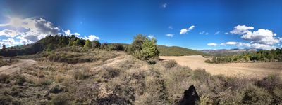 243: 30-09-2022_torallola_les_saulls_alt_pirineu_i_aran_conca_de_dalt