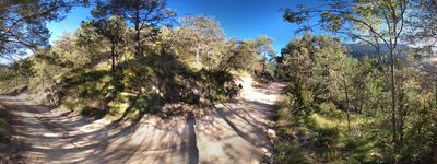 59: 04-10-2022_font_de_la_molina_alt_pirineu_i_aran_boumort