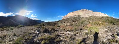 61: 23-11-2022_joncarlat_alt_pirineu_i_aran_boumort