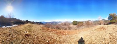 227: 03-03-2023_planell_dels_moltons