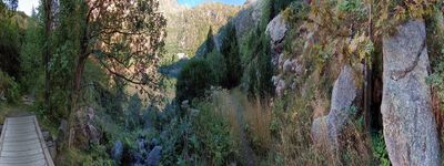 256: 08-09-2023_barranc_del_pigolo_alt_pirineu_i_aran_conca_de_dalt