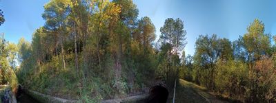 265: 28-09-2023_la_solaneta_canal_de_sossis_alt_pirineu_i_aran_conca_de_dalt