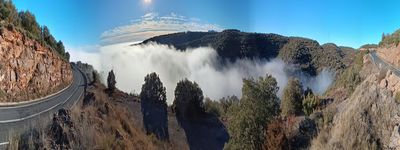 4: 12-01-2024_comiols_lleida