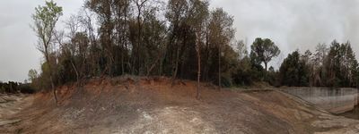 Panta Vell de VallLlosera