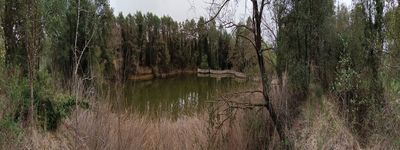 Panta Petit de VallLlosera