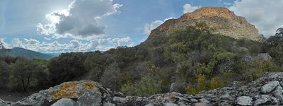 80: 30-04-2024__desarrocat_pessonada_alt_pirineu_i_aran_boumort