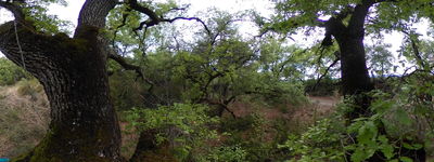 R Barranc de Miret Sant Marti de Canals