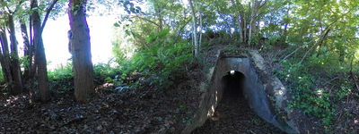 174: 08-05-2024__los_capbloncs