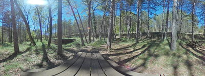 297: 09-05-2024_font_de_les_trilles_alt_pirineu_i_aran_conca_de_dalt