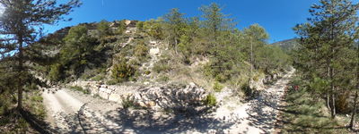 85: 09-05-2024__esllavissada_esbarsabina_alt_pirineu_i_aran_boumort