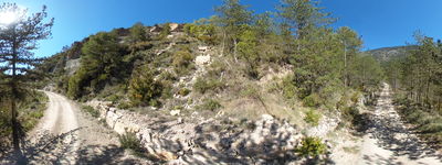 87: 09-05-2024__esllavissada_esbarsabina_alt_pirineu_i_aran_boumort