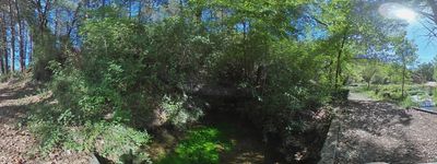 300: 10-05-2024_font_de_pujol_alt_pirineu_i_aran_conca_de_dalt