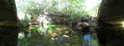 274: 10-05-2024_font_de_pujol