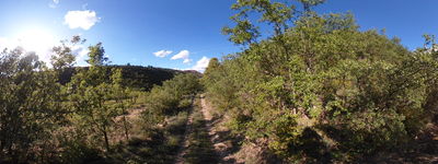 R Cami Antic de Claverol