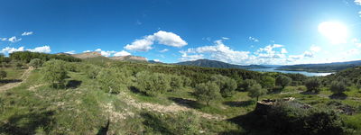 313: 15-05-2024__cami_antic_de_claverol_alt_pirineu_i_aran_conca_de_dalt