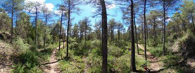 25: 21-05-2024_c_via_verda_dels_llacs_alt_pirineu_i_aran