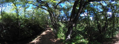 43: 21-05-2024__via_verda_dels_llacs_alt_pirineu_i_aran
